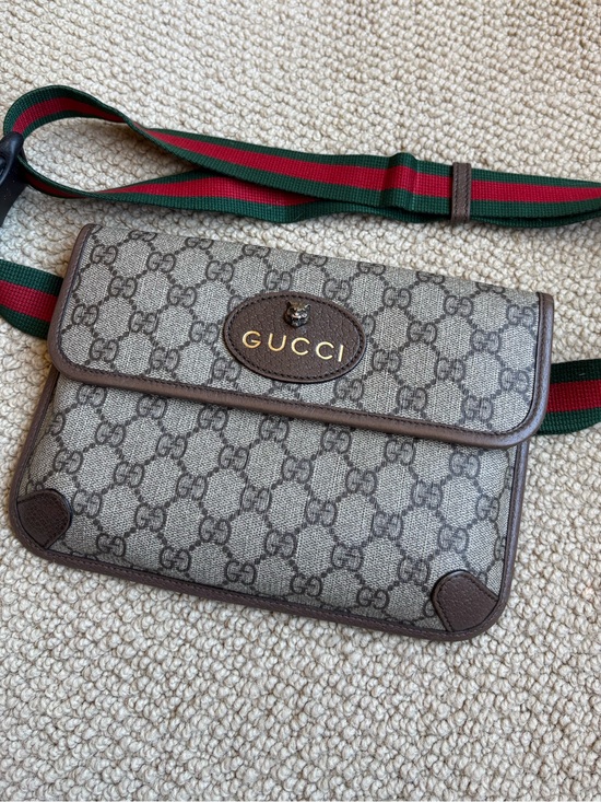 Gucci Other - Gucci Beige GG Supreme Canvas Belt Bag with Green-Red Web Strap